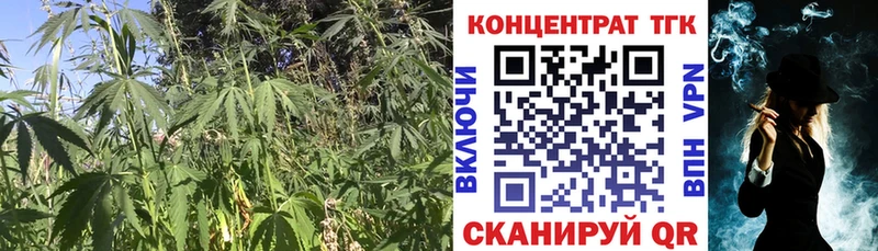 Дистиллят ТГК вейп  Асино 
