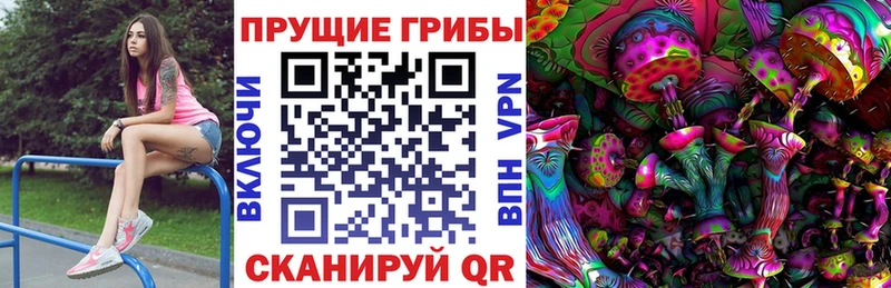 наркотики  Асино  Псилоцибиновые грибы мицелий 