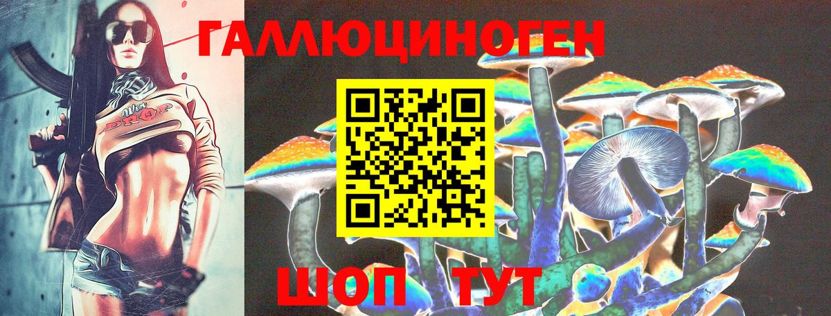 Галлюциногенные грибы Magic Shrooms  Галлюциногенные грибы Cubensis  Вход с VPN  Асино 
