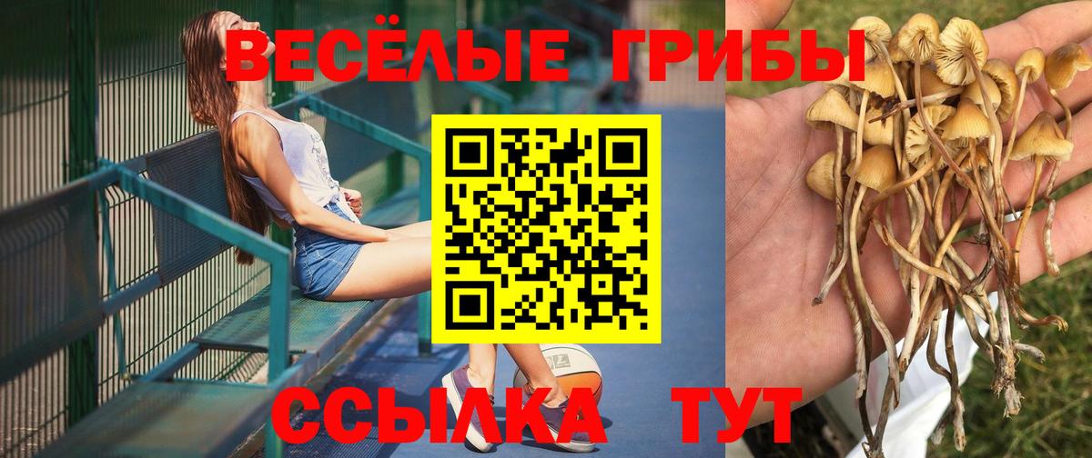 Галлюциногенные грибы MAGIC MUSHROOMS Асино